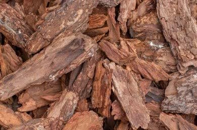 3V PRODUCTS Jamun Bark Powder | Naval Pattai | Jamun Chaal | Eugenia Jambolana Bark 100g