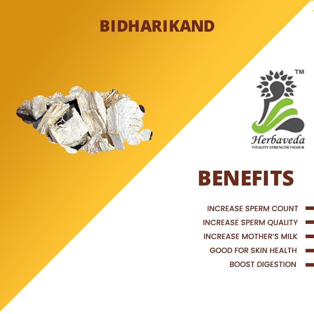 Herbaveda - Bidharikand Safed 100g | Vidarikand safed | Dioscorea bulbifera white | Indian Kudzu safed
