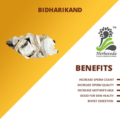 Herbaveda - Bidharikand Safed 100g | Vidarikand safed | Dioscorea bulbifera white | Indian Kudzu safed