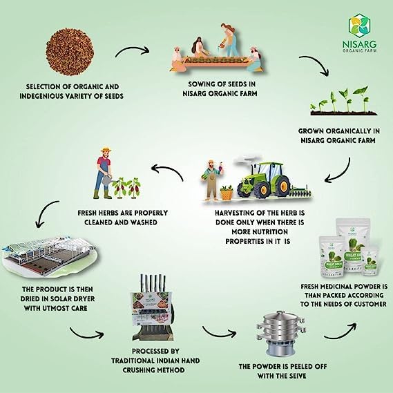 NISARG ORGANIC FARM Nirgundi Leaf Powder I Pure, Natural, Organic I Nochi Leaves I Supports Joint and Bone Health I Sambhalu I Chaste Tree I I Traditional Method Made (100 gm)