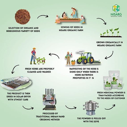 NISARG ORGANIC FARM Nirgundi Leaf Powder I Pure, Natural, Organic I Nochi Leaves I Supports Joint and Bone Health I Sambhalu I Chaste Tree I I Traditional Method Made (100 gm)