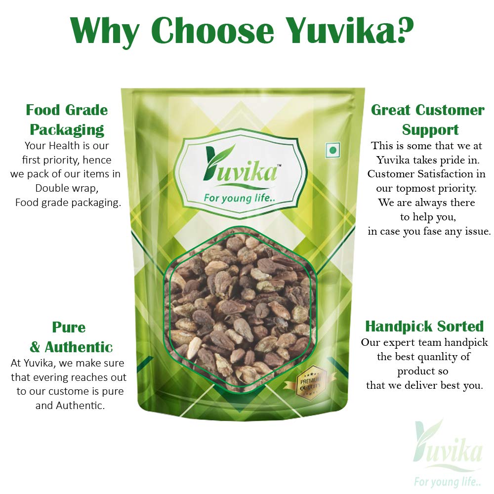 YUVIKA Beej Shivlangi - Shivlingi - Bryonopsis laciniosa (100 Grams)