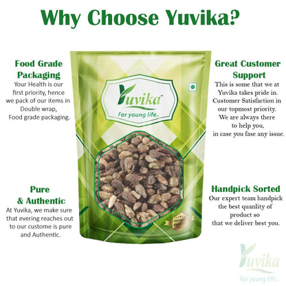 YUVIKA Beej Shivlangi - Shivlingi - Bryonopsis laciniosa (100 Grams)