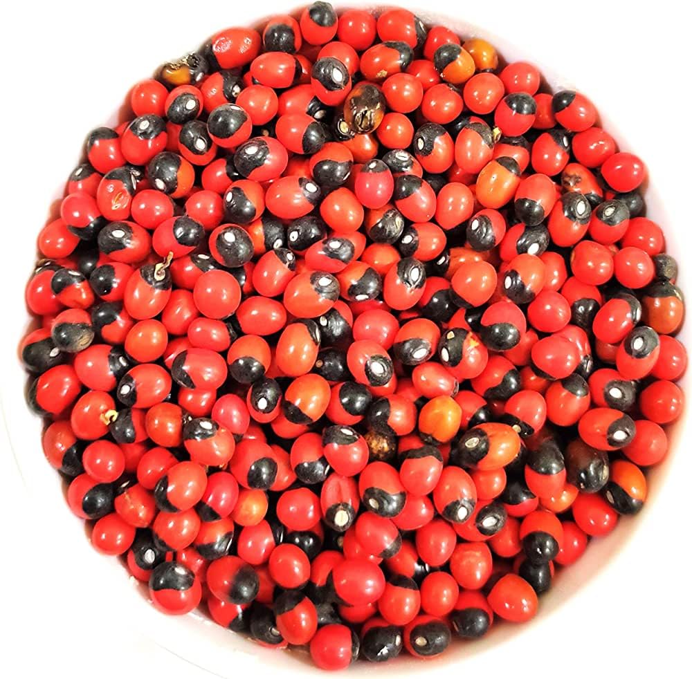 Mewar Impex Natural Rakt Gunja 100 gm | Chirmi, Red Gunja, Lal Gunja Beej Seeds For Pooja