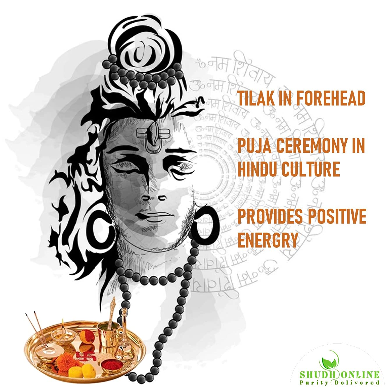 Shudh Online Vibhuti Bhasma, Vibuthi Pure Powder - Holy ash (50 Grams), Thiruneeru, Shiva Viboothi, Vibhooti, Bibhuti