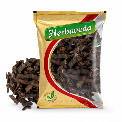 Herbaveda Master Root | Premium Dried Herbal Root | 100% Natural | Raw, Authentic & Quality Assured